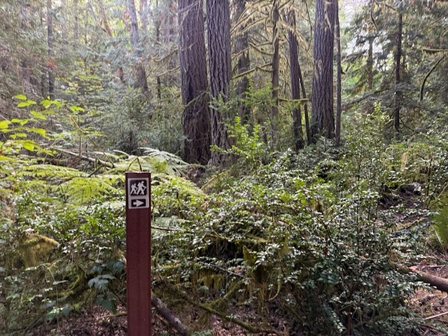 trail sign
